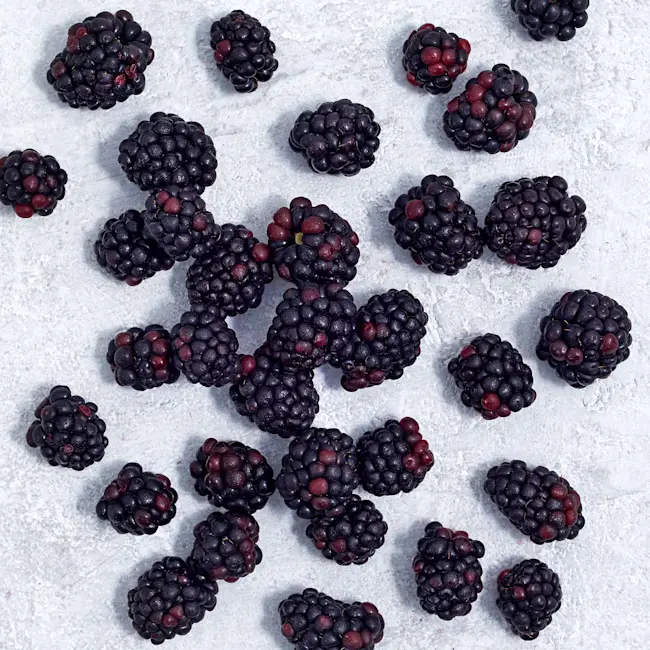 WFC 4009 Produce Blackberries Raw