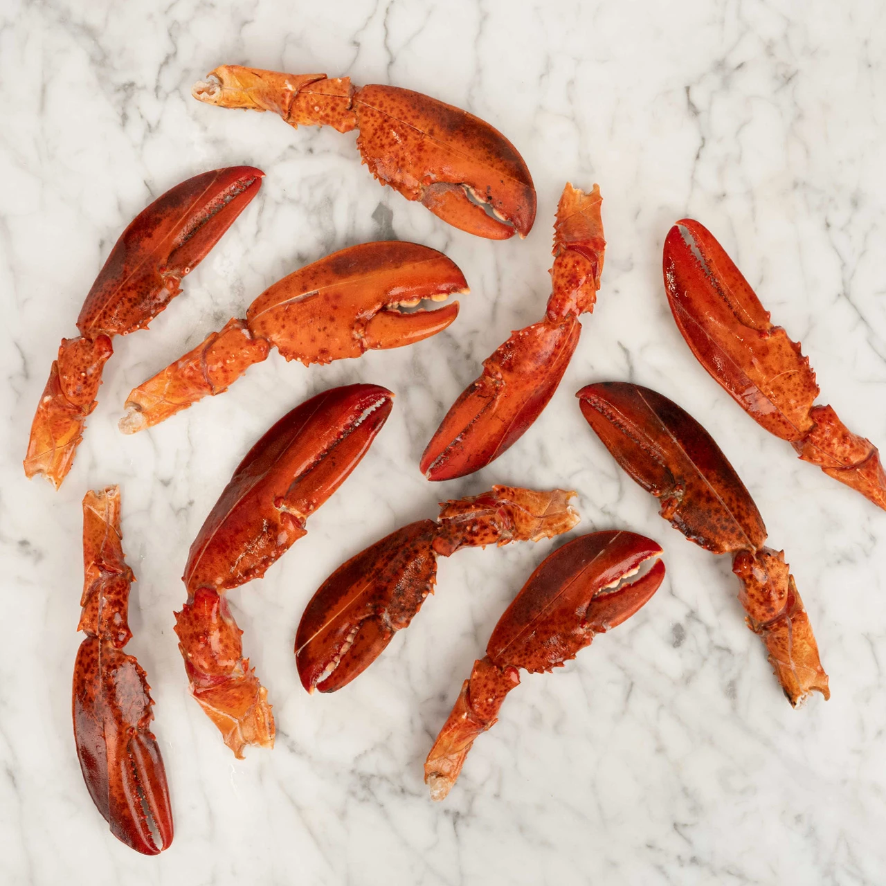 81962 WFMex Raw PINZAS Y BRAZOS DE LANGOSTA COCIDA Pescados