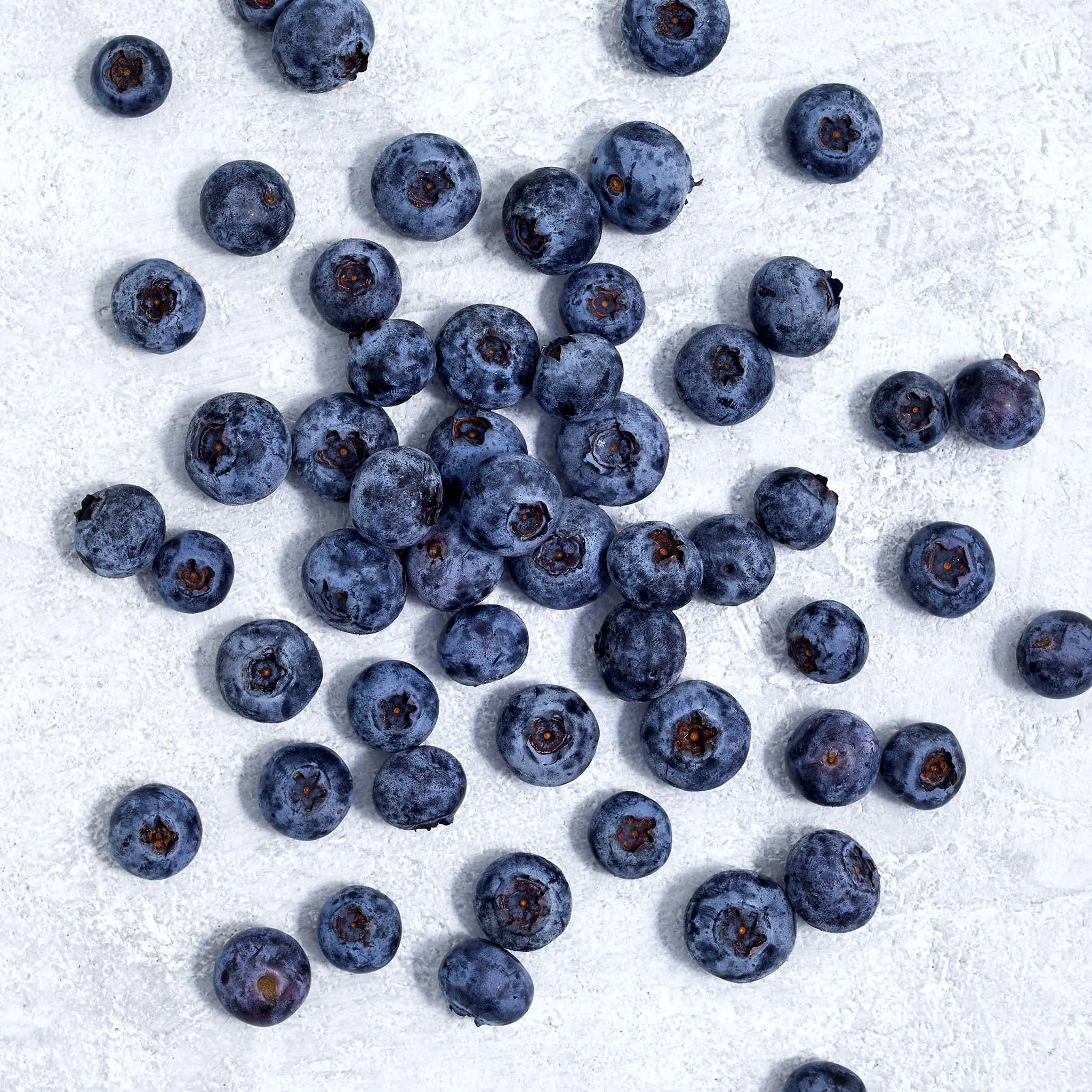 7325 RAW Blueberries