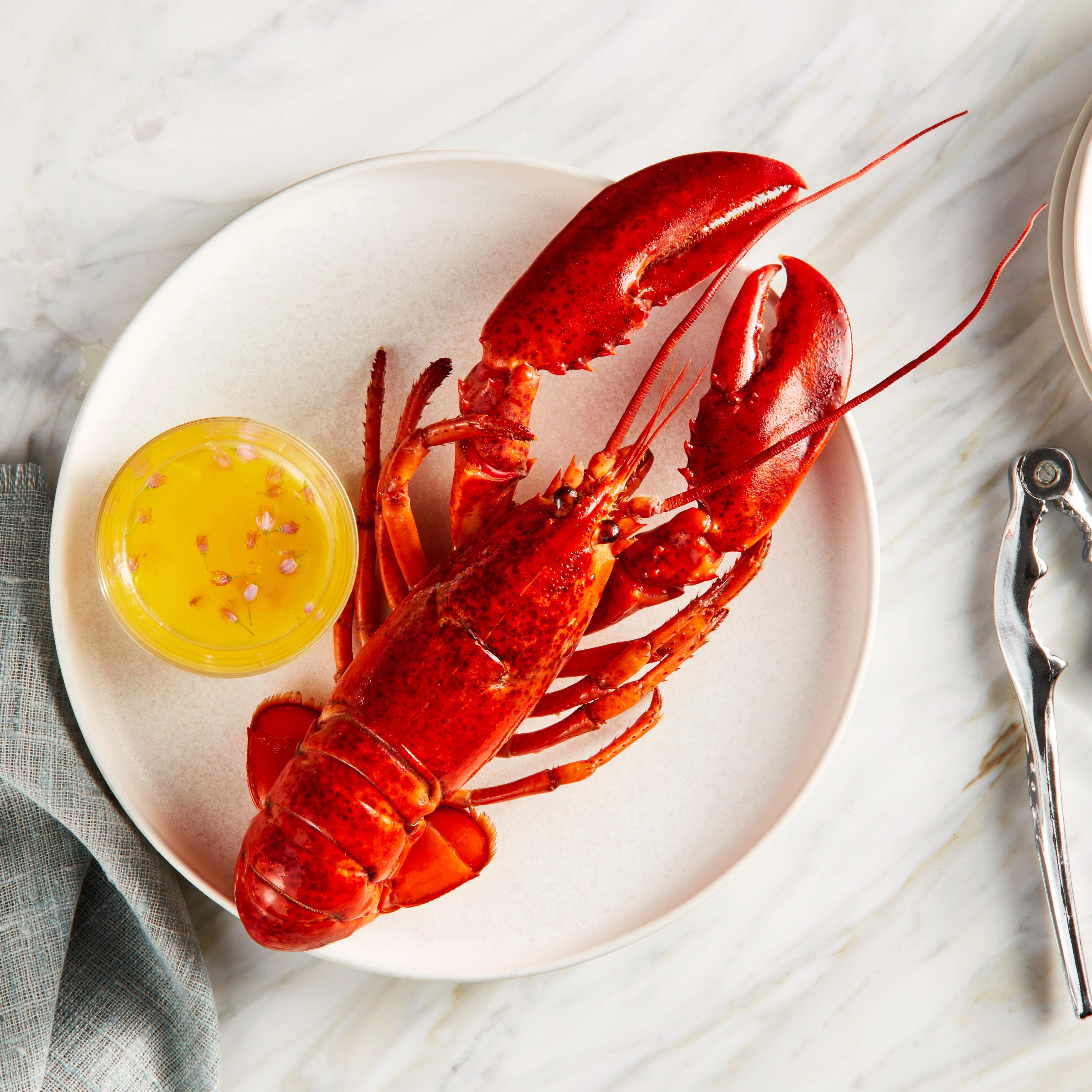 WFC 5008 Seafood Lobster Whole Lifestyle