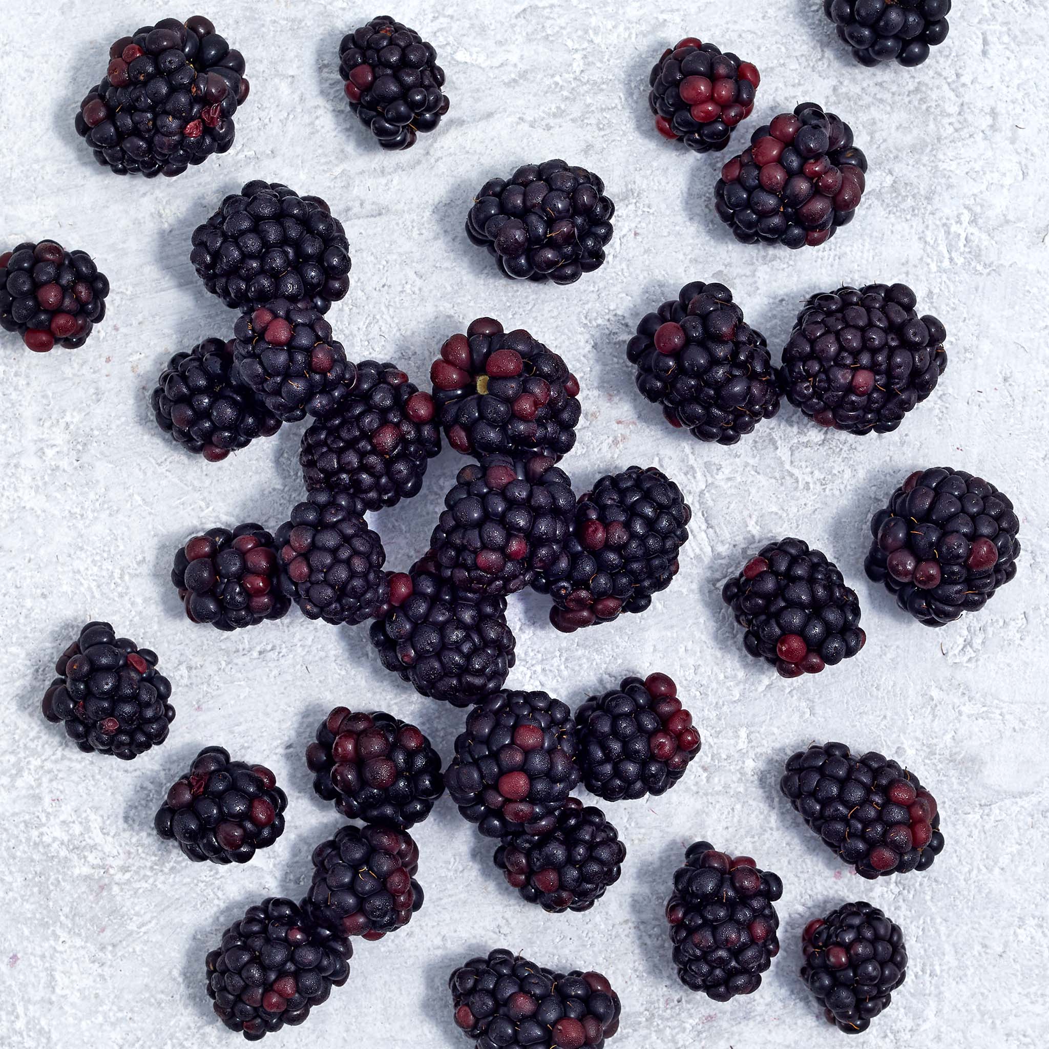 希少品！英国製 黒壺   strawberry hill 7055_blackberries_75lbs_IQF_00