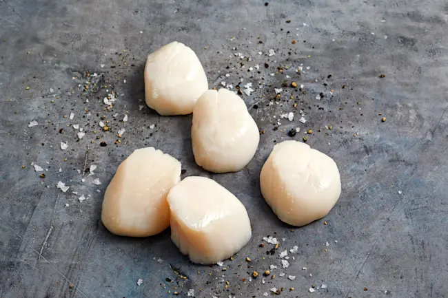 6342 - Sea Scallop Dry 10-20 - NFT V2