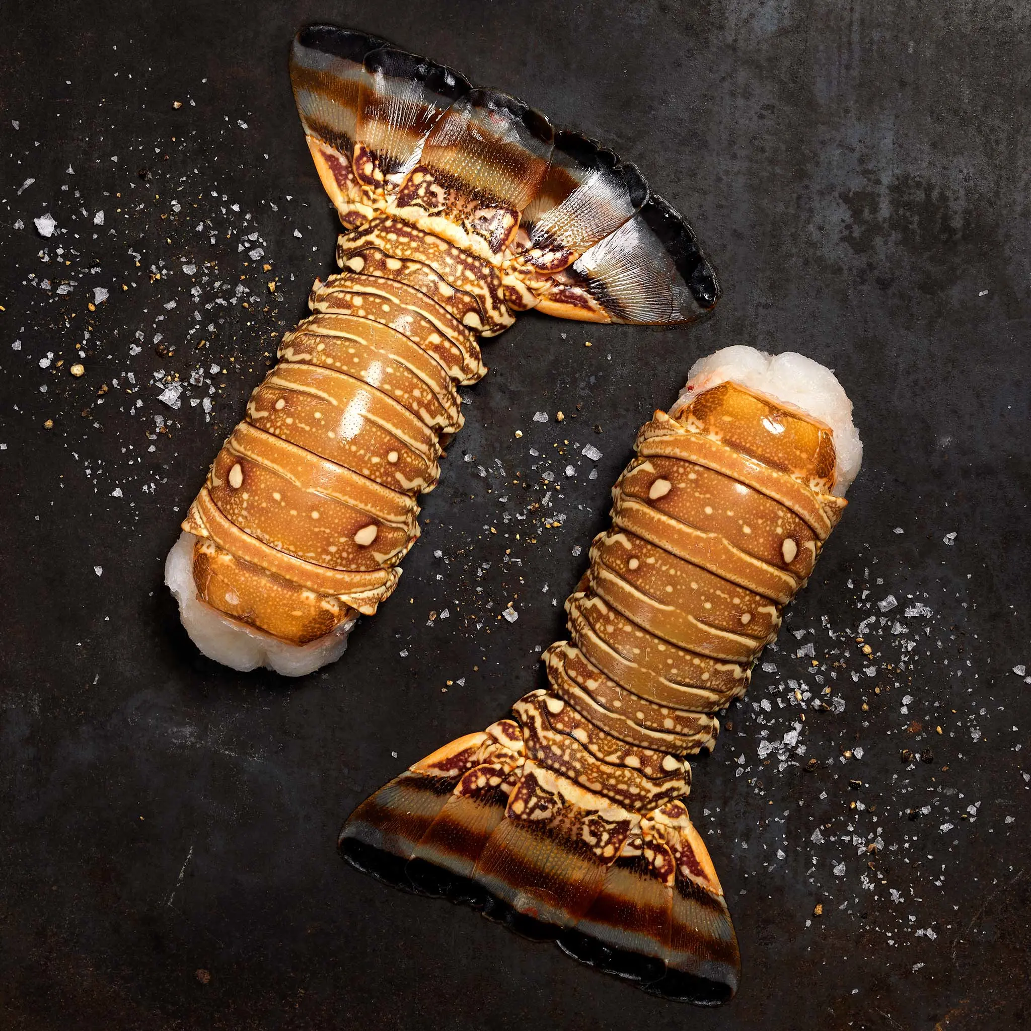 Spiny Lobster Tail