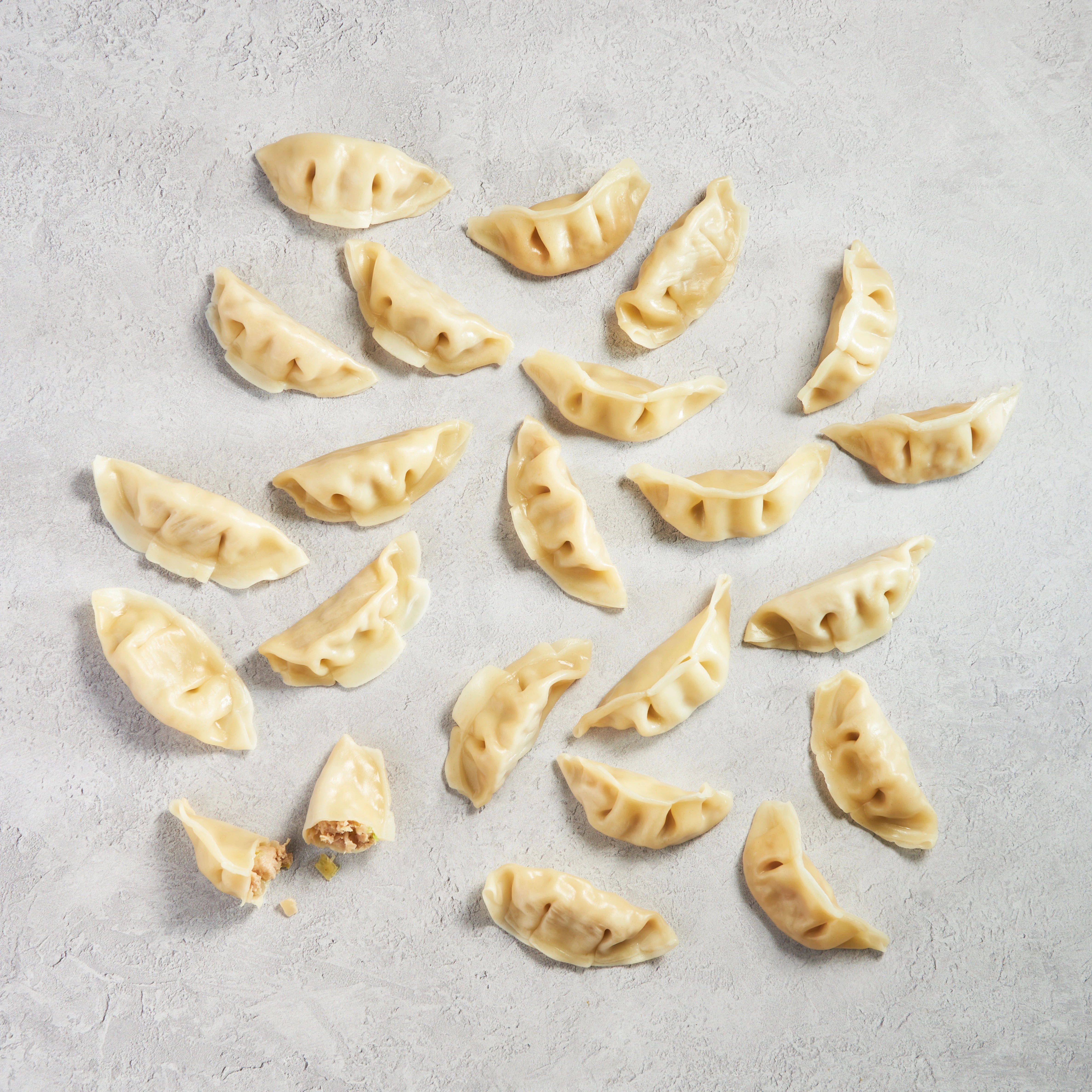 WFC 2040 ValueAdd PorkVegetableDumplings RAW