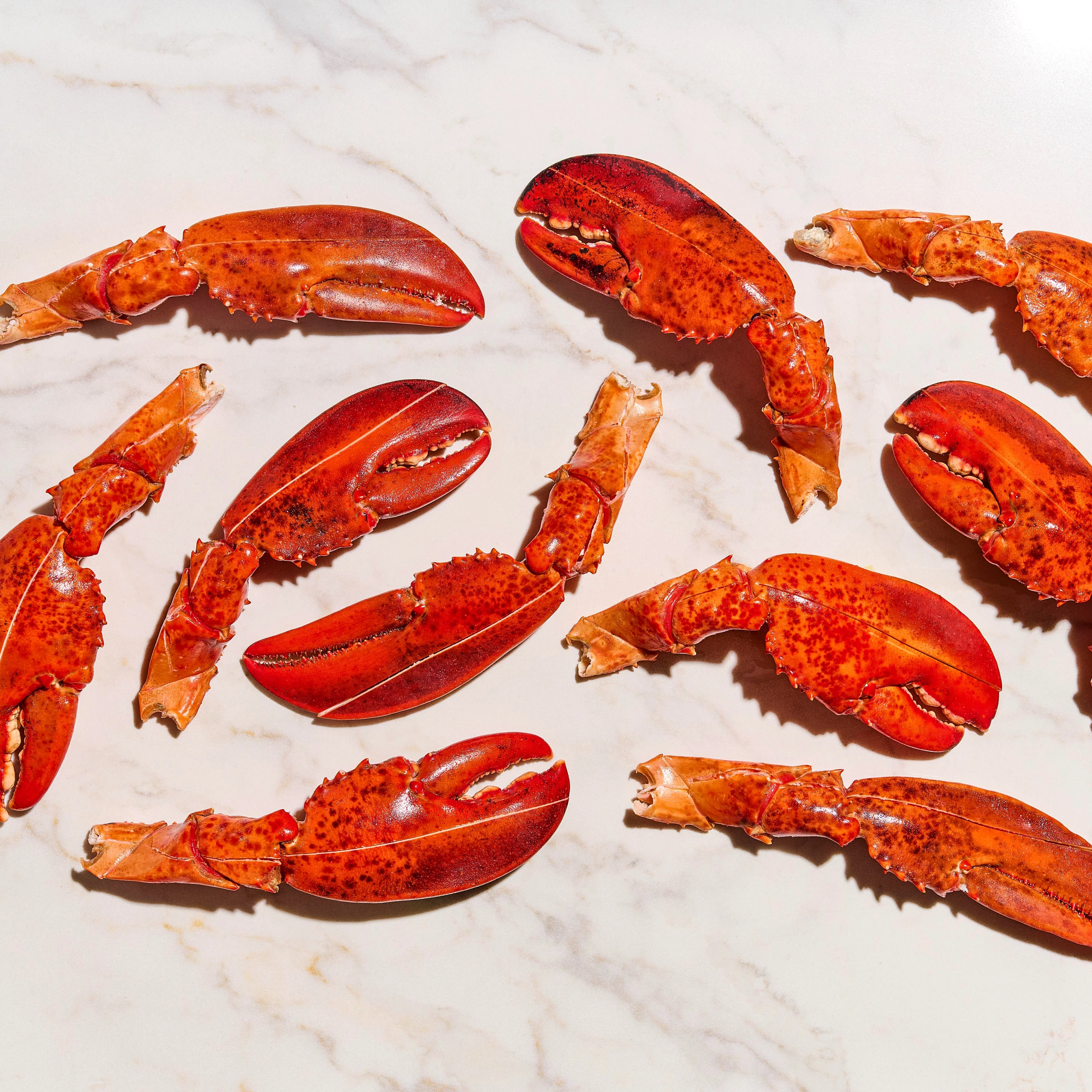 25313 RAW Fully Cooked Atlantic Lobster Cocktail Claws