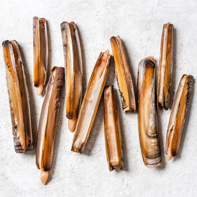 RAW Razor Clam 14.1oz VS Tray