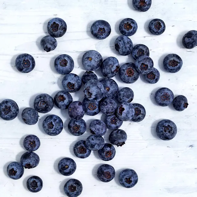 WFC 4007 Produce Blueberries Cultivated Raw