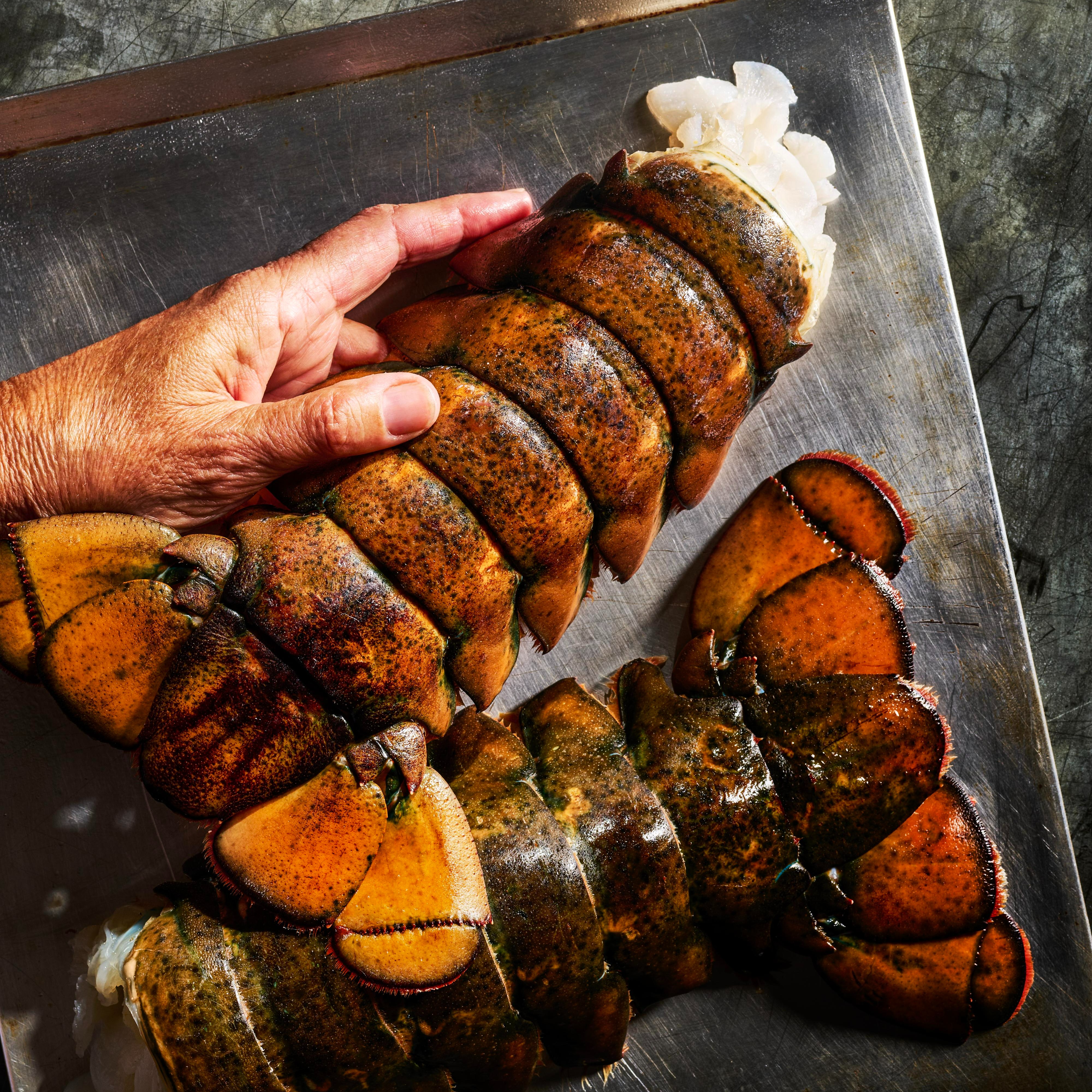 North American Lobster Tail
