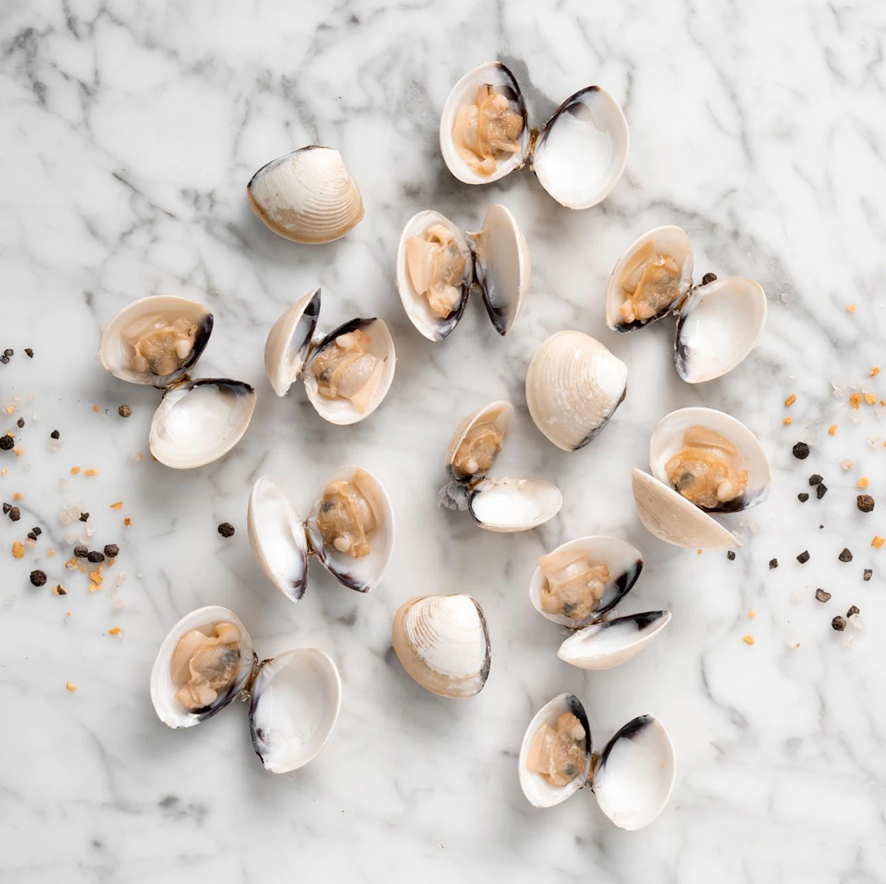 82191 WFMex Raw Almeja Blanca Pacífico Pescados