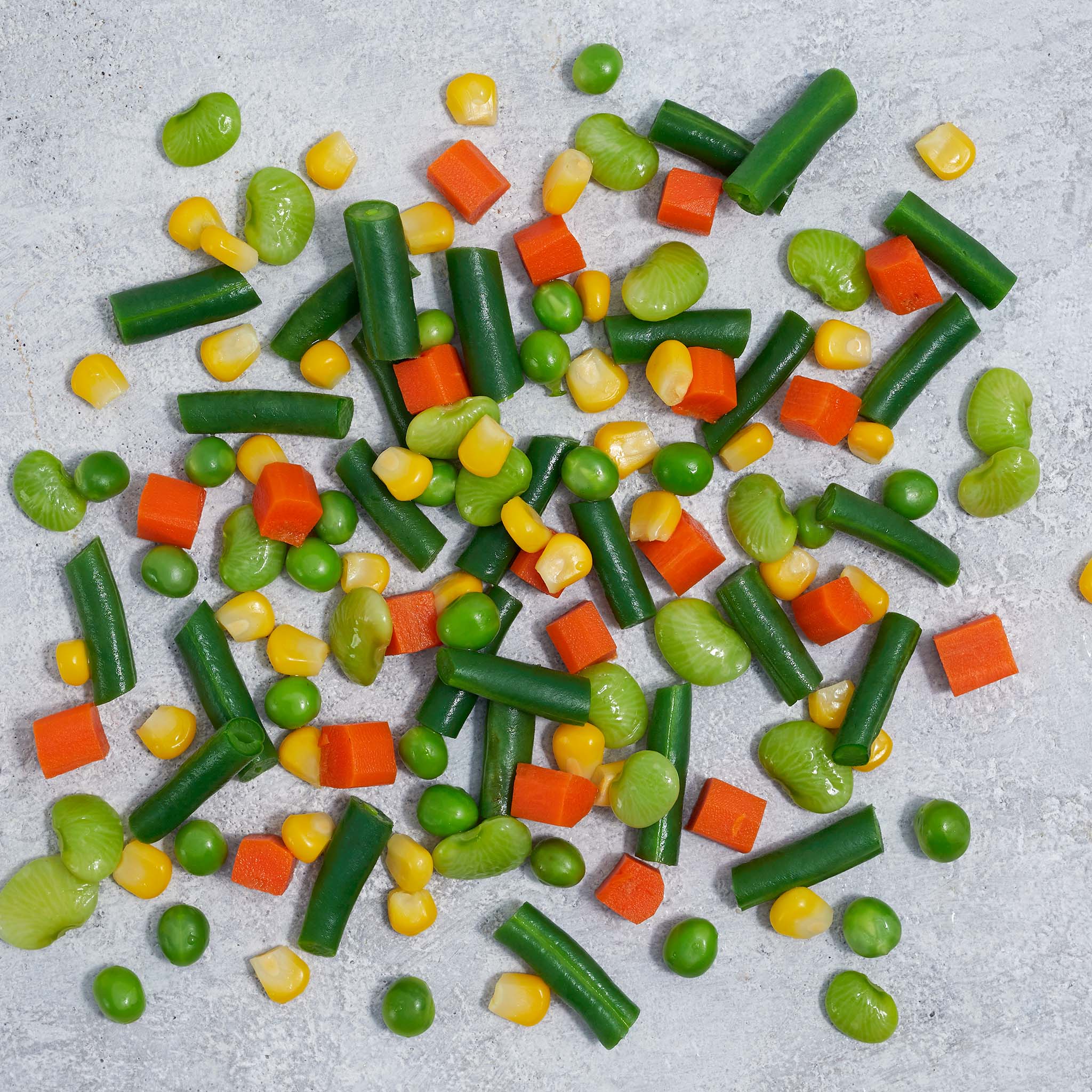 Mixed Vegetables Blend 10oz IQF | Wild Fork Foods