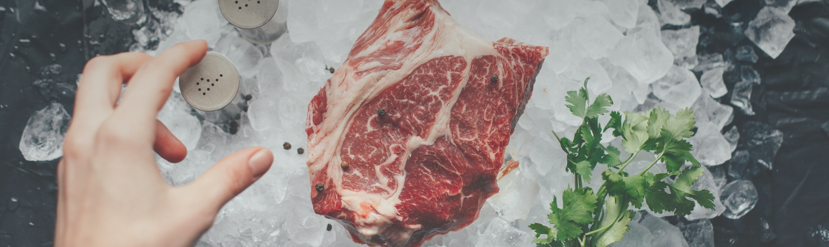 ¿Por qué Wildfork es congelado?