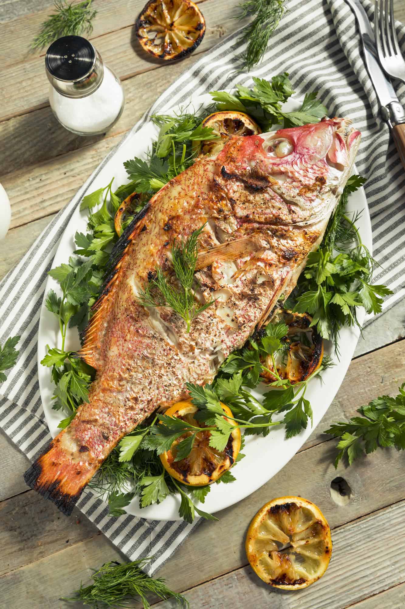 Caribbean Whole Red Snapper