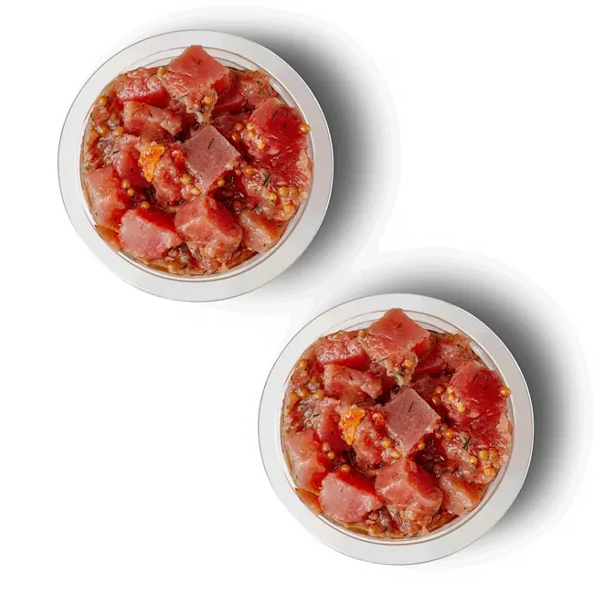 25351 RAW Tuna Tartare