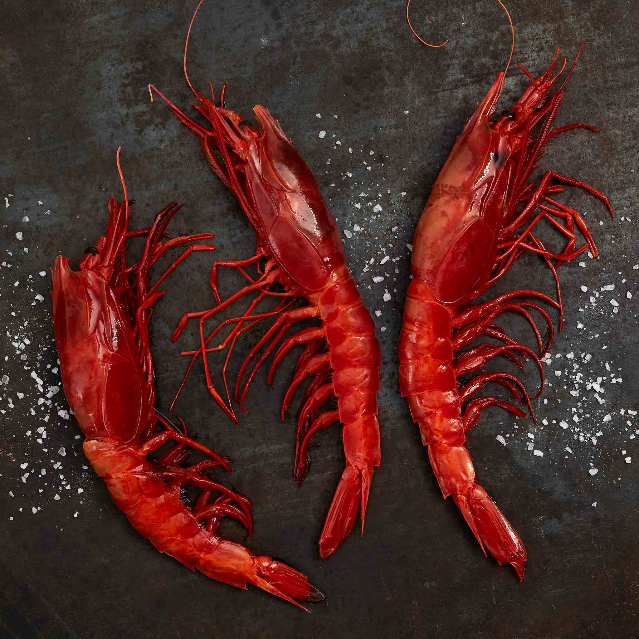 6132 WF Raw Scarlet Shrimp - Carabineros Seafood
