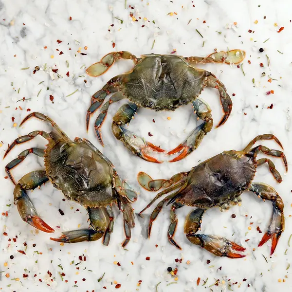 81777-jaiba-concha-suave-crudo_600x600-1