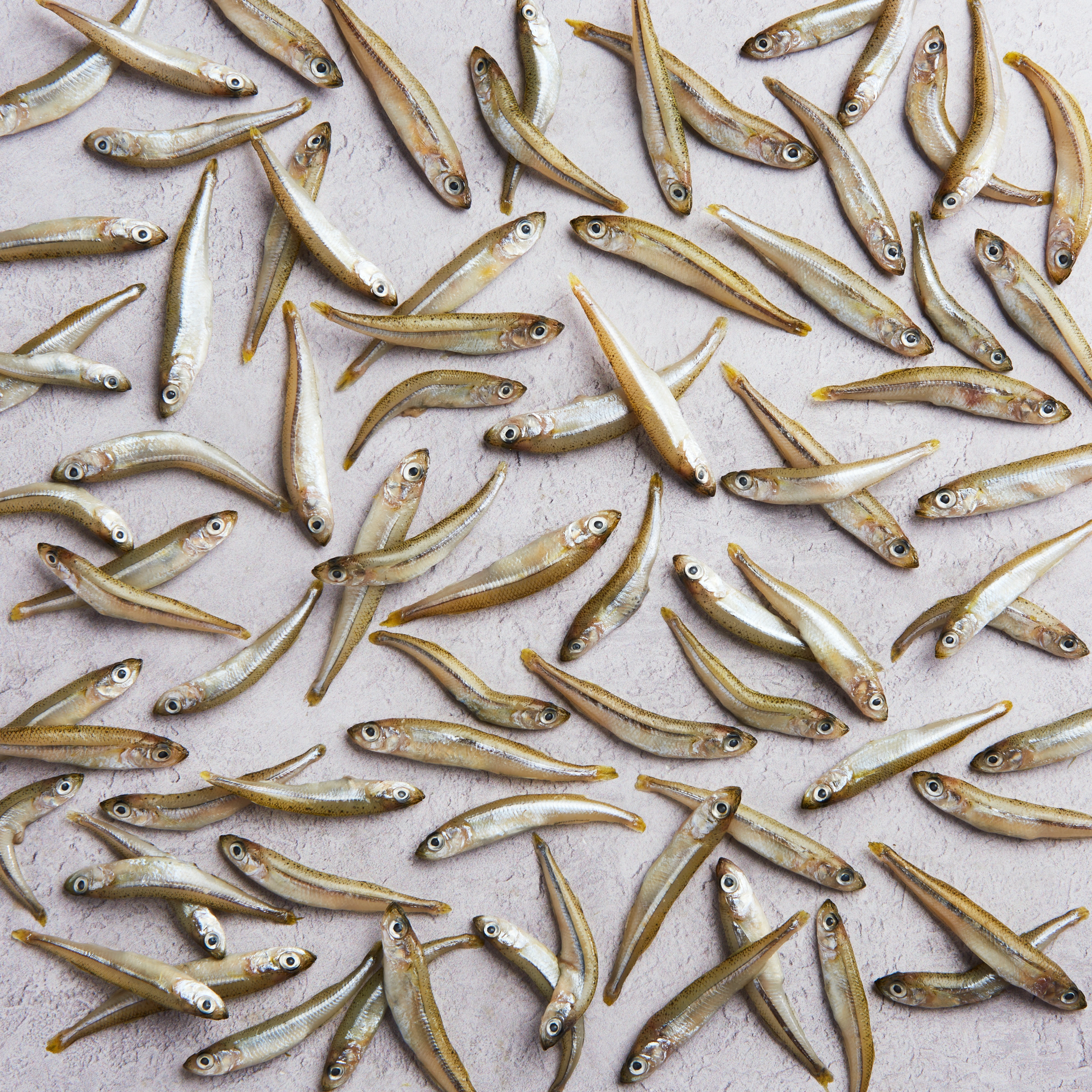 WFC 5060 Seafood Smelt Raw