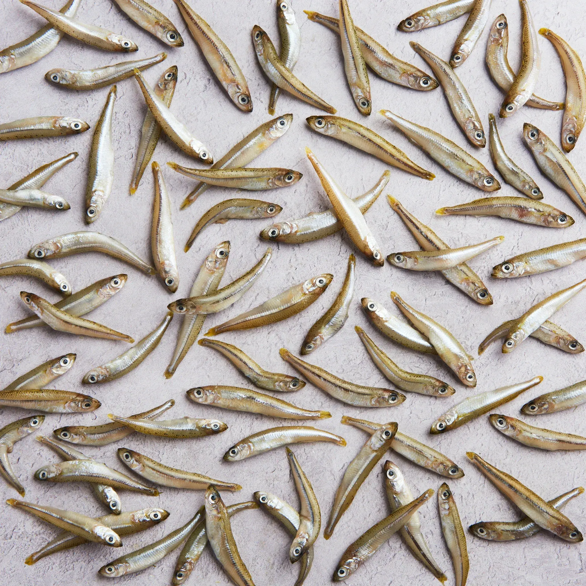 WFC 5060 Seafood Smelt Raw