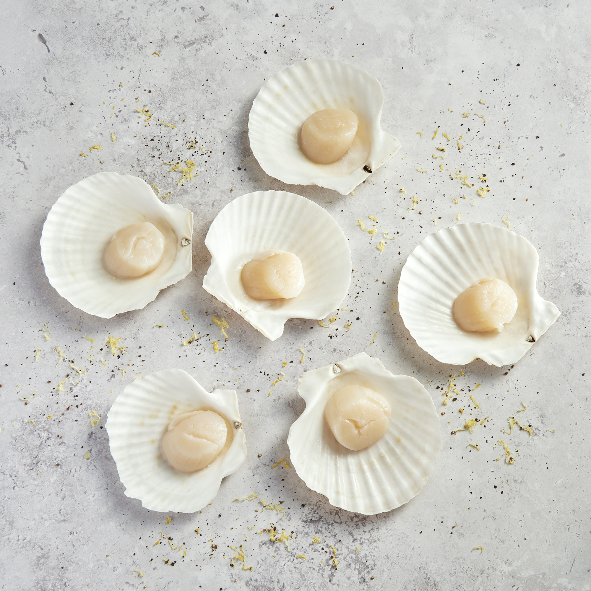オッフェン  offen scallop pattern (38) Dolan Left Coast Structured Scallop Top | Anthropologie