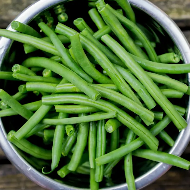 7363 RAW Cut Green Beans 16oz