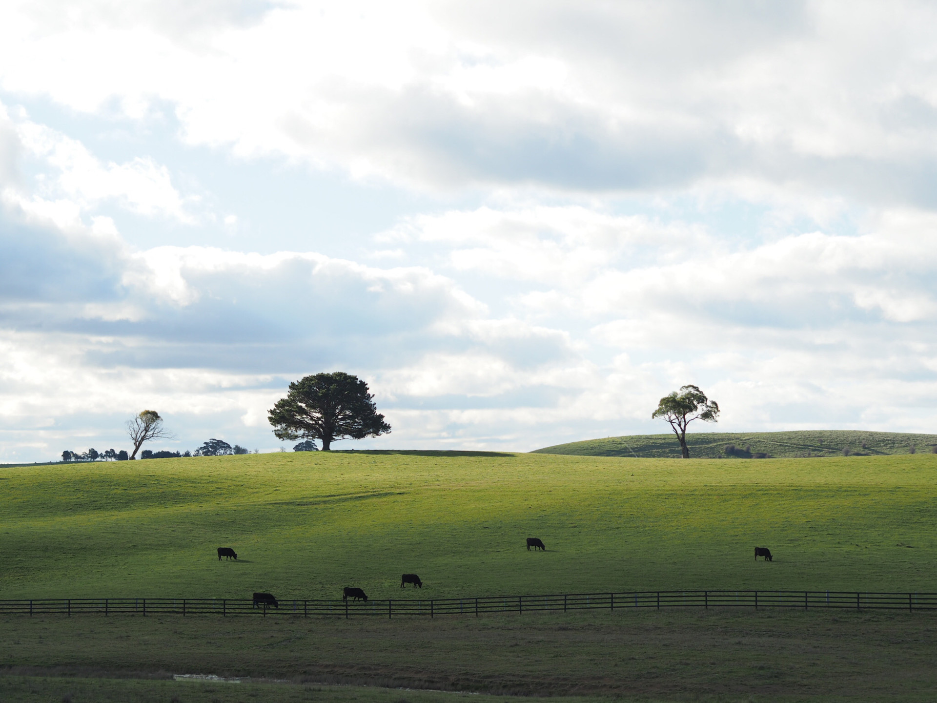 Green Pasture Sourcing 	1920 px / 1440 px jpg