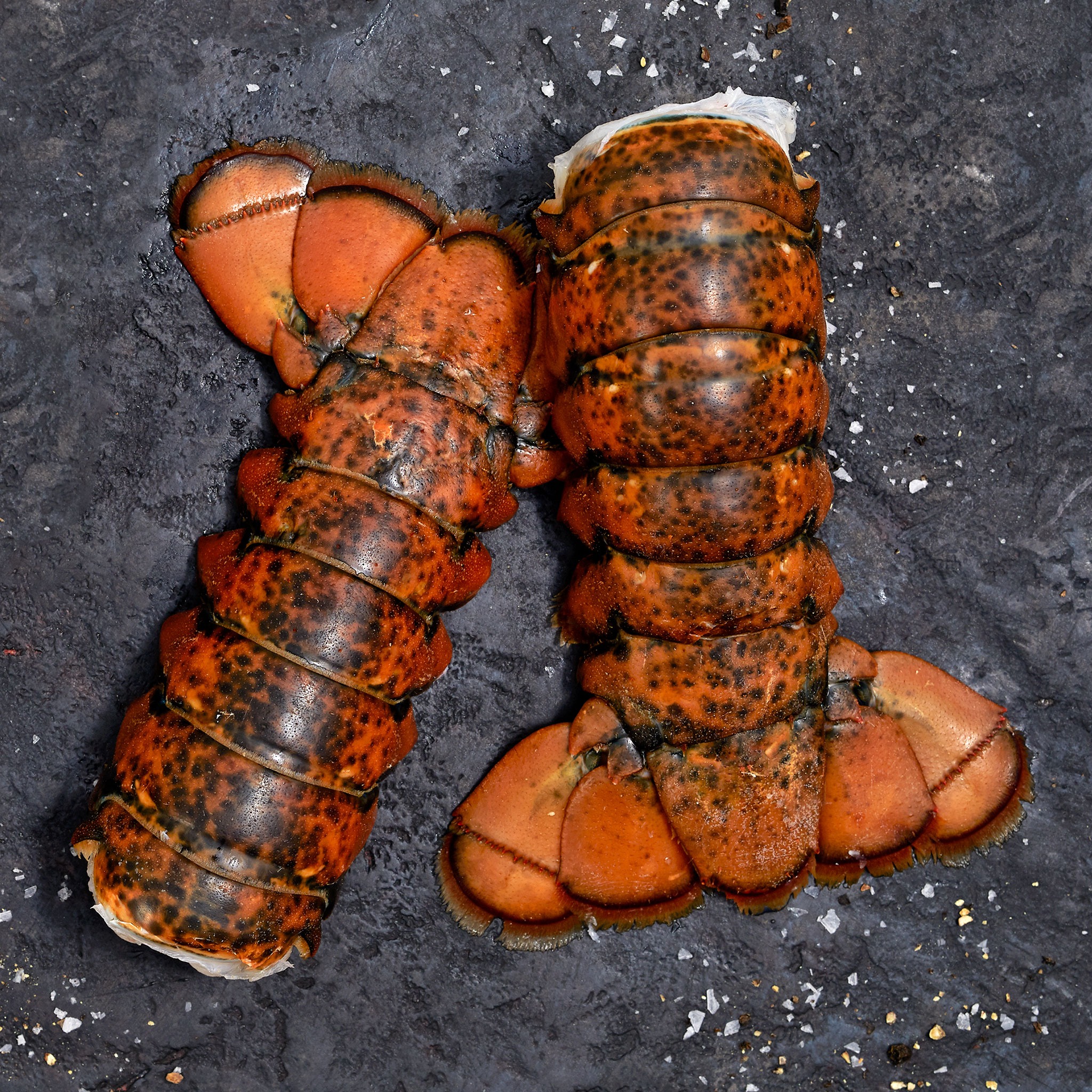 North Atlantic Lobster Tails 7oz | Wild Fork