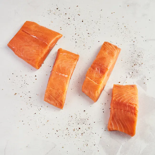 WFC 5262 Seafood Salmon Spring Portions SinkOn RAW