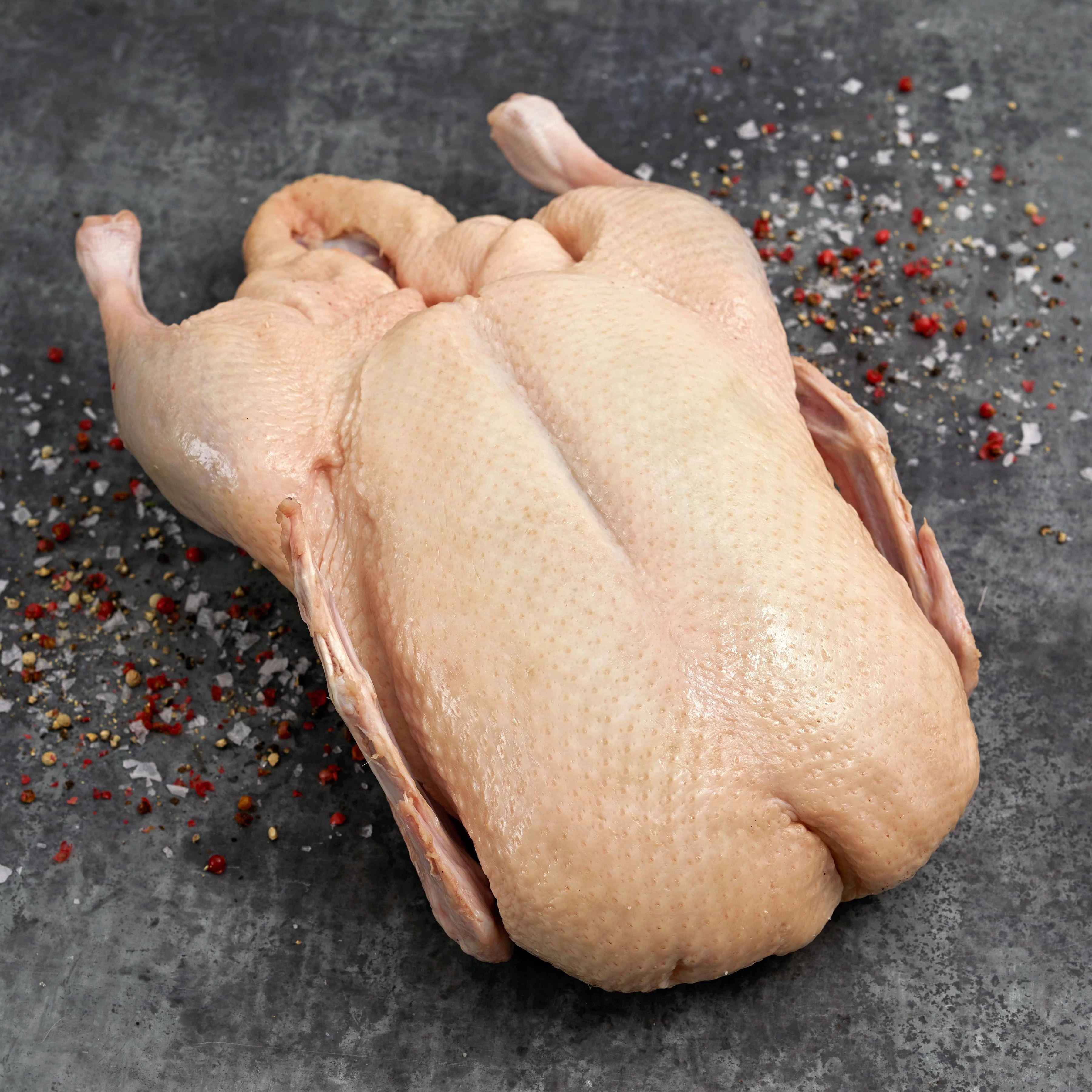 7585 RAW Whole Duck - Culver