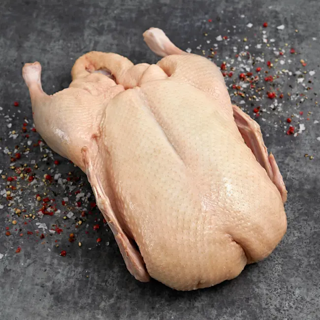 7585 RAW Whole Duck - Culver