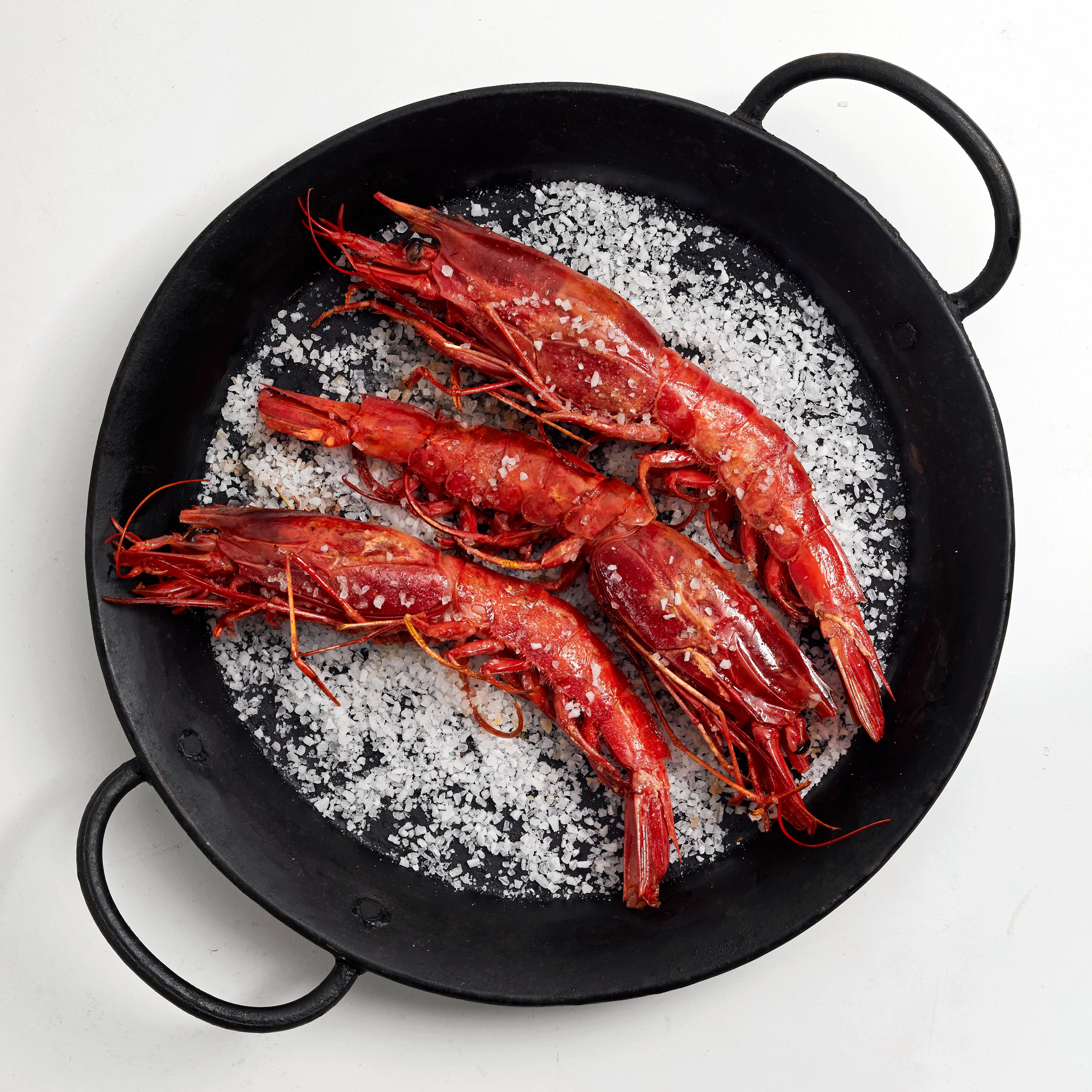 6198 PLATED SCARLET SHRIMP - CARABINEROS