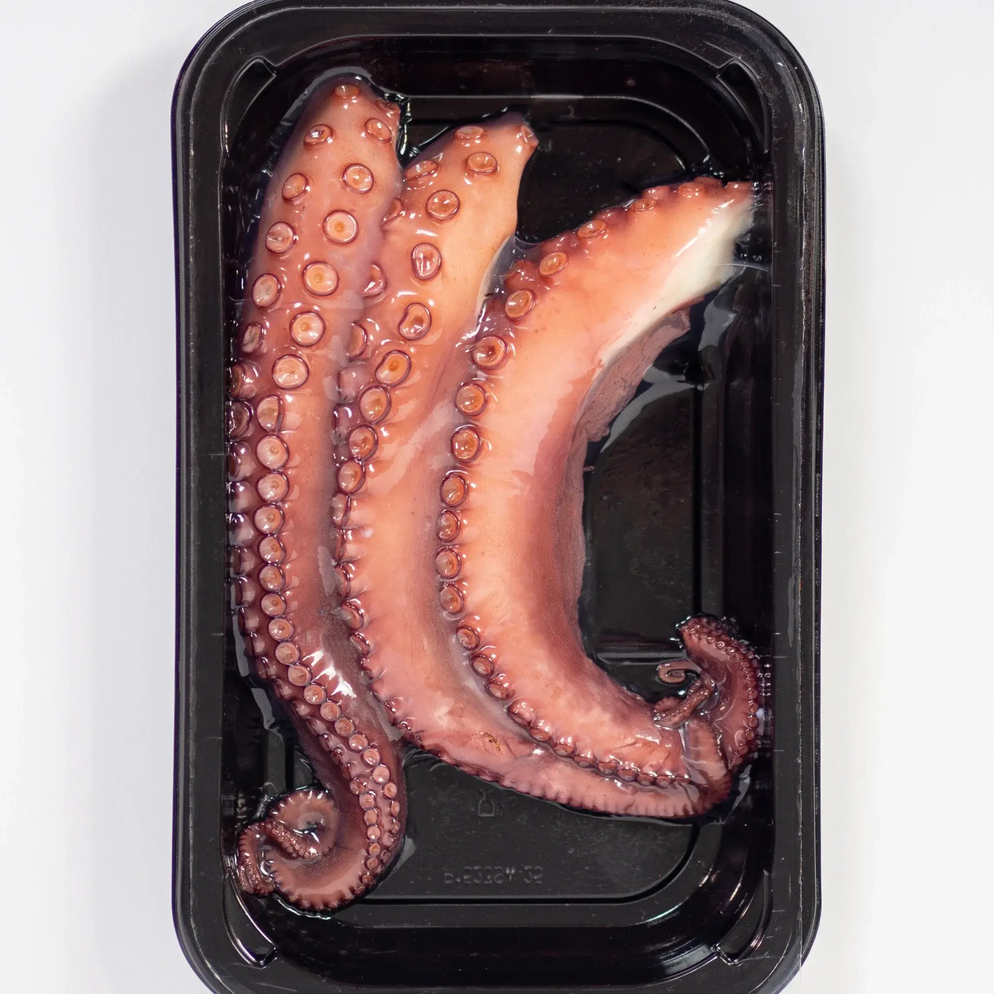 25420_Wild Caught Octopus - Wilder.jpg.webp