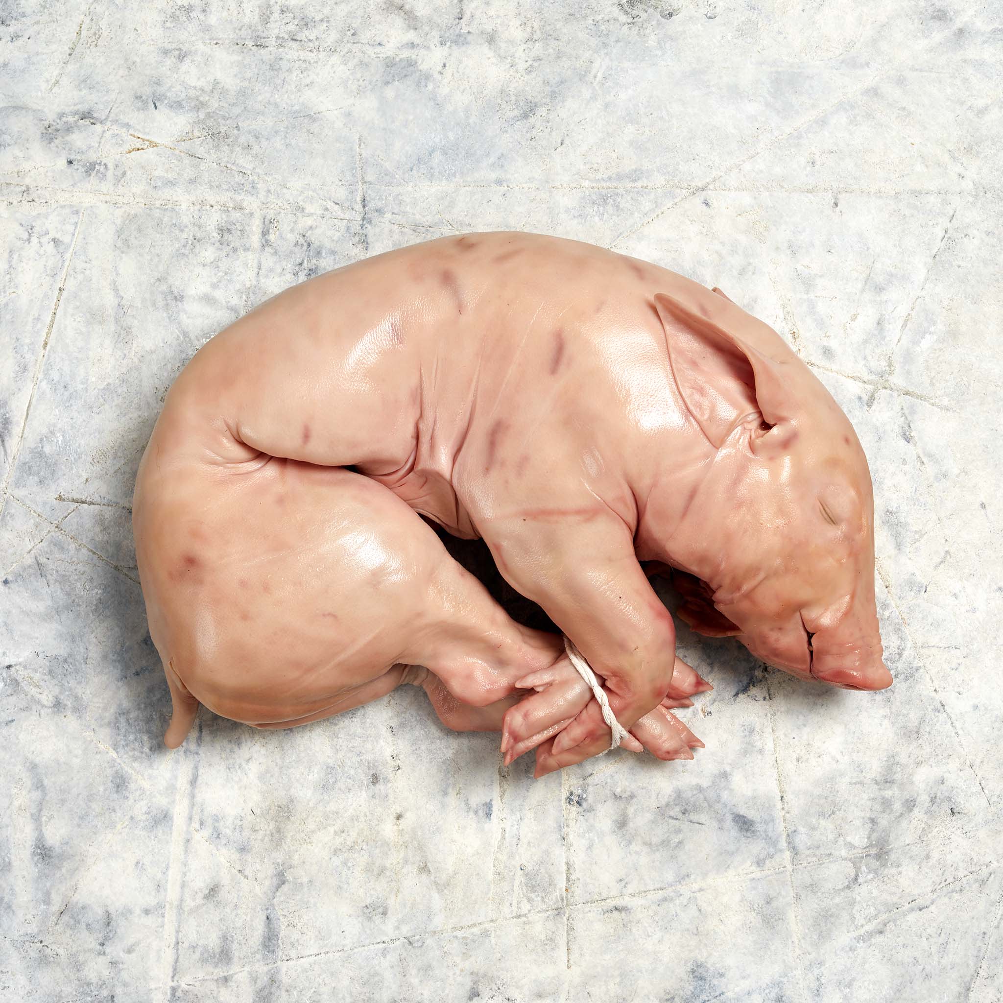 3520 WF Raw Suckling Pig Pork