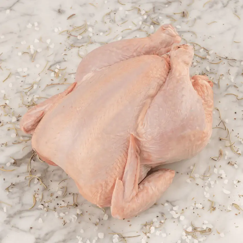 81161-pollo-organico-entero