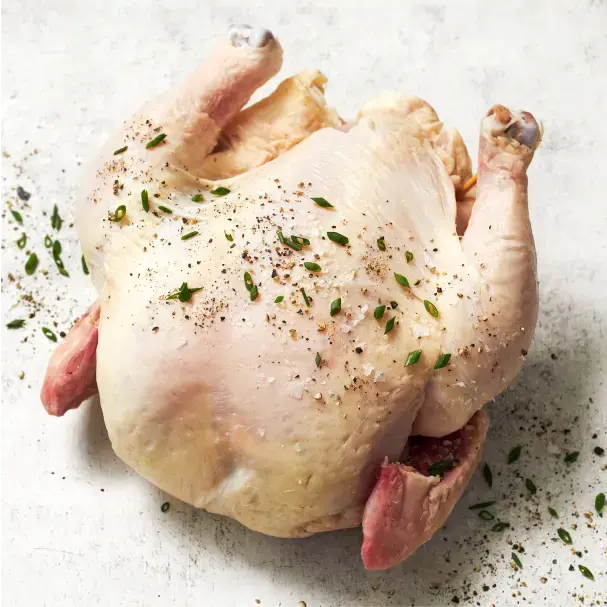 Chicken Category webp