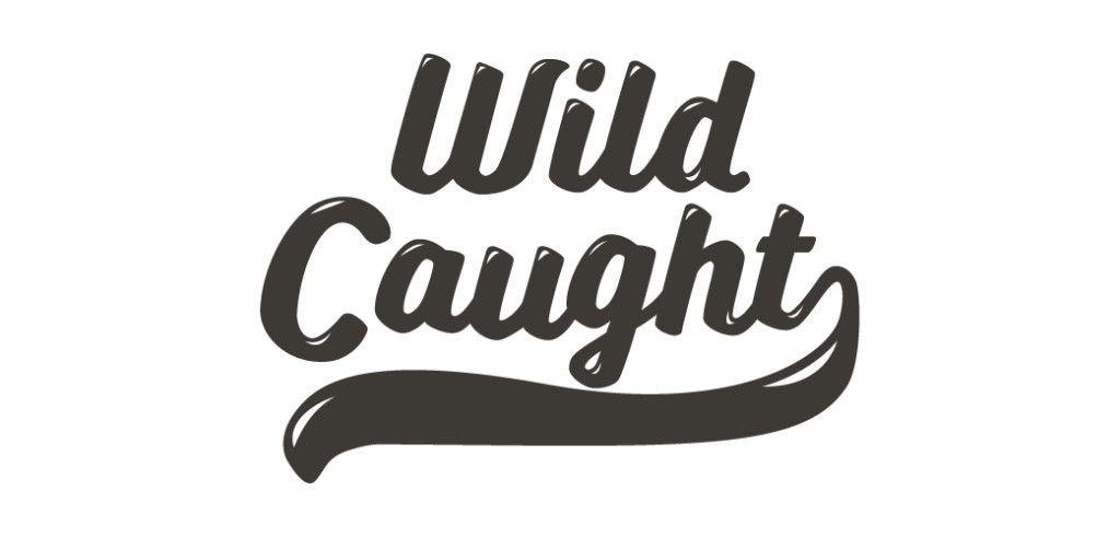 Wild Caught Fancy Font