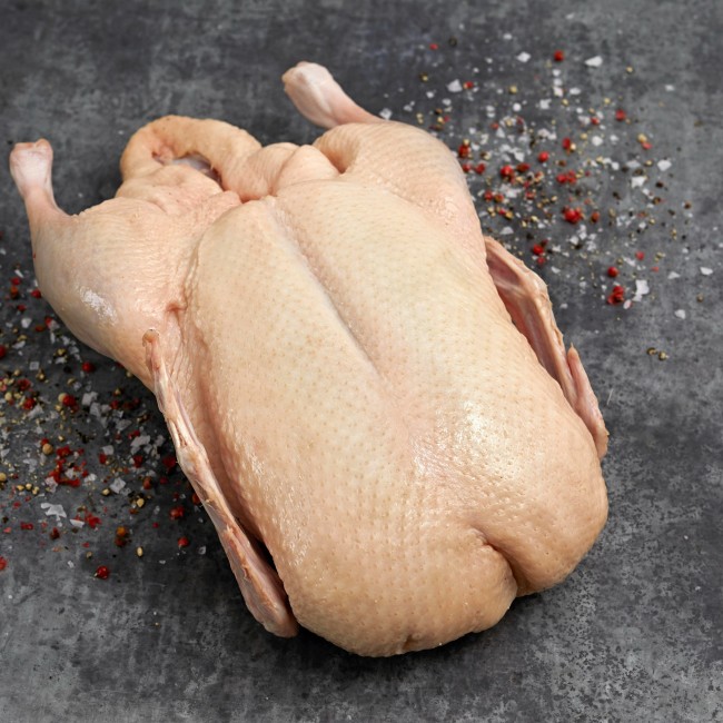 4420 WF Raw Whole Duck Poultry
