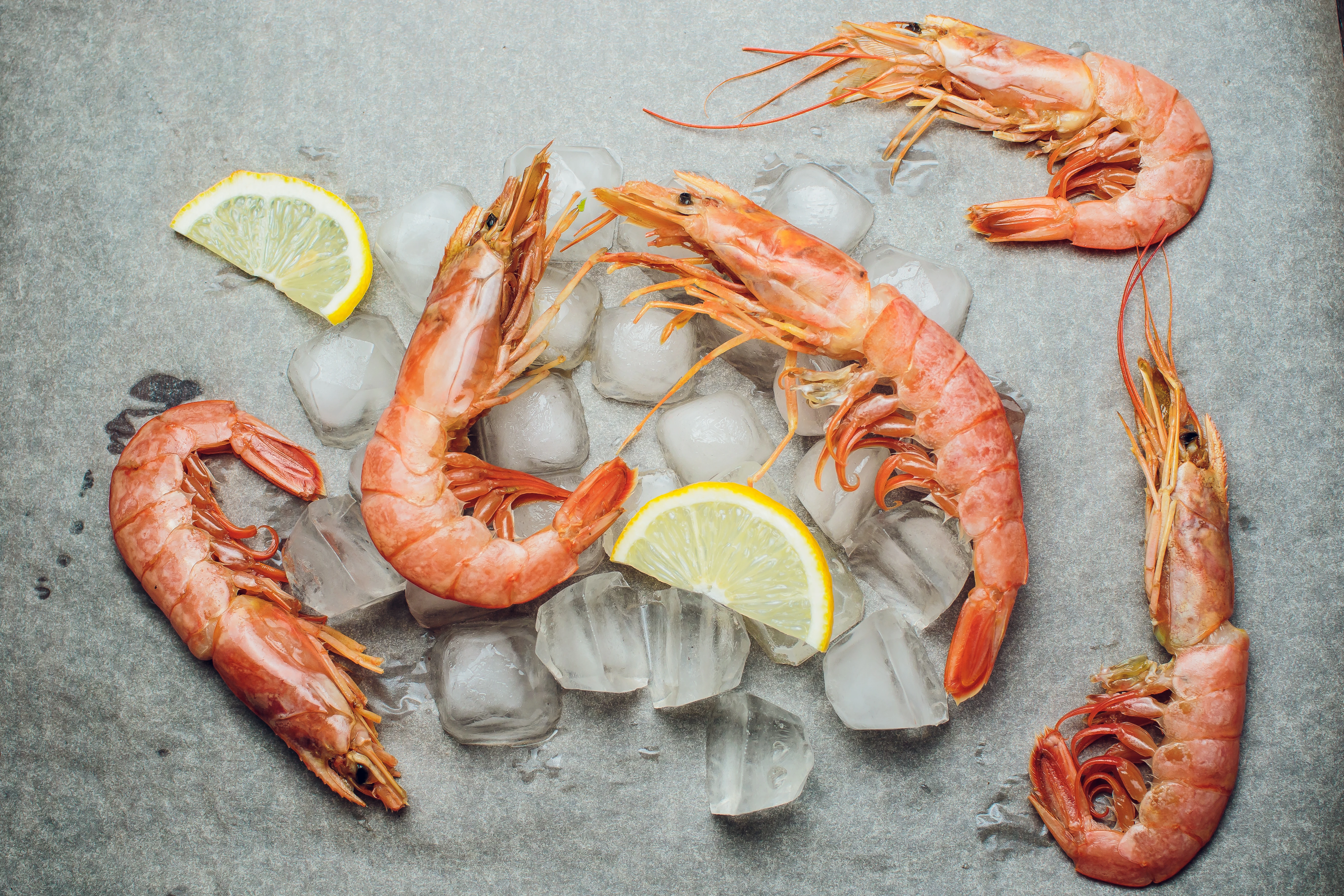 6331 COOKED HOSO Argentine Red Shrimp