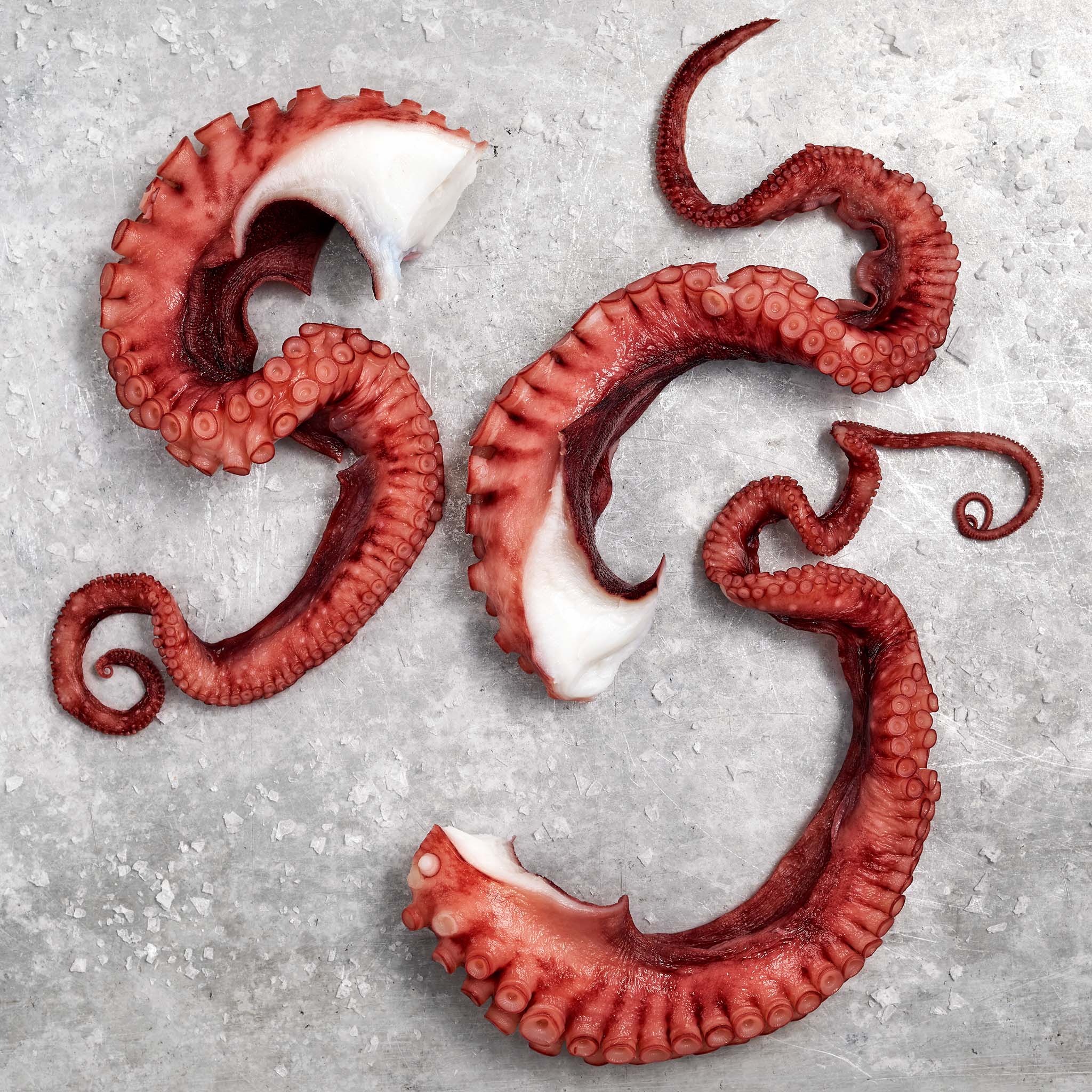 Fully Cooked Octopus Tentacles