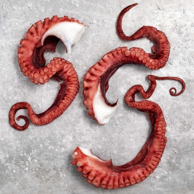 6096 WF Raw Fully Cooked Octopus Tentacles Seafood