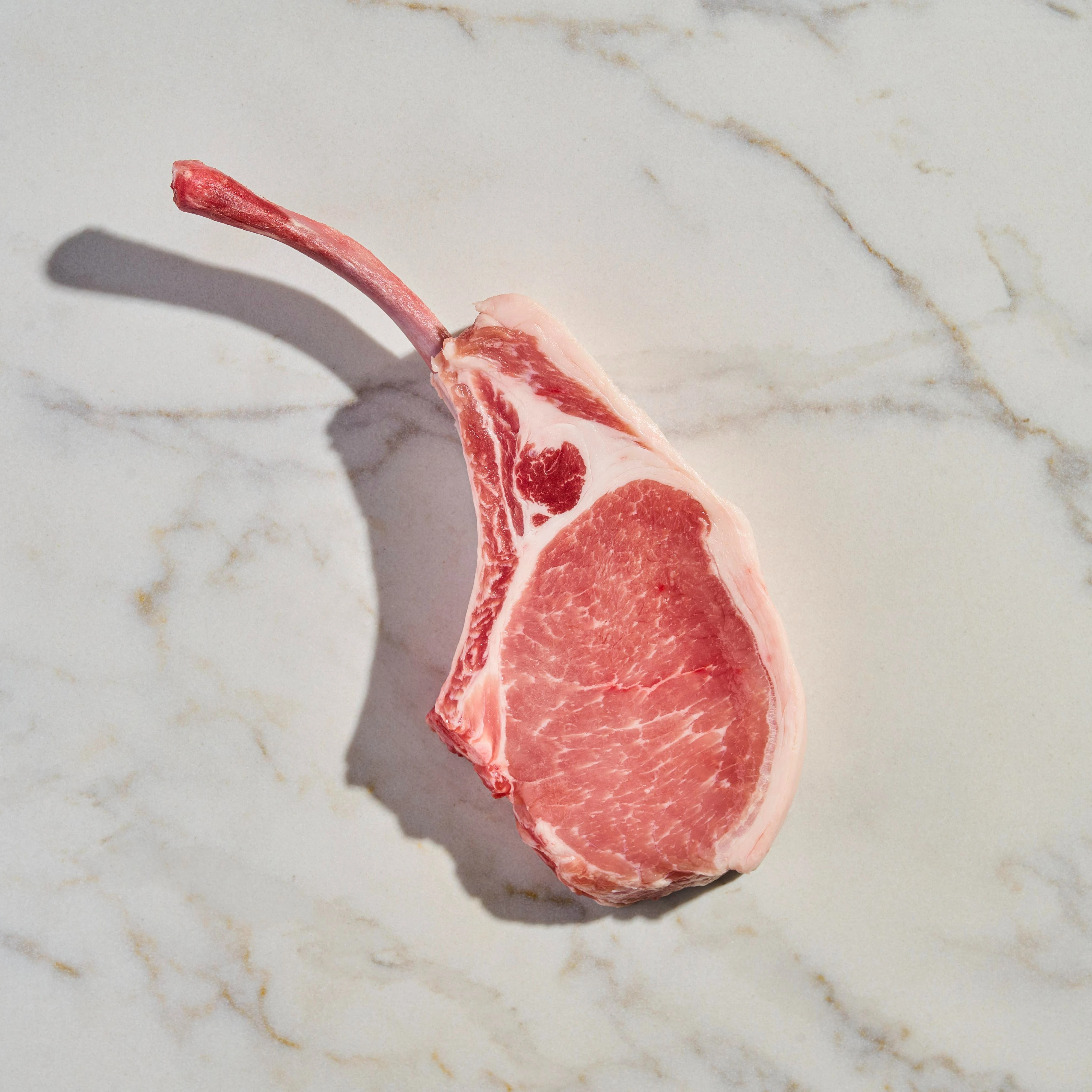 26980 RAW Tomahawk Pork Berkshire