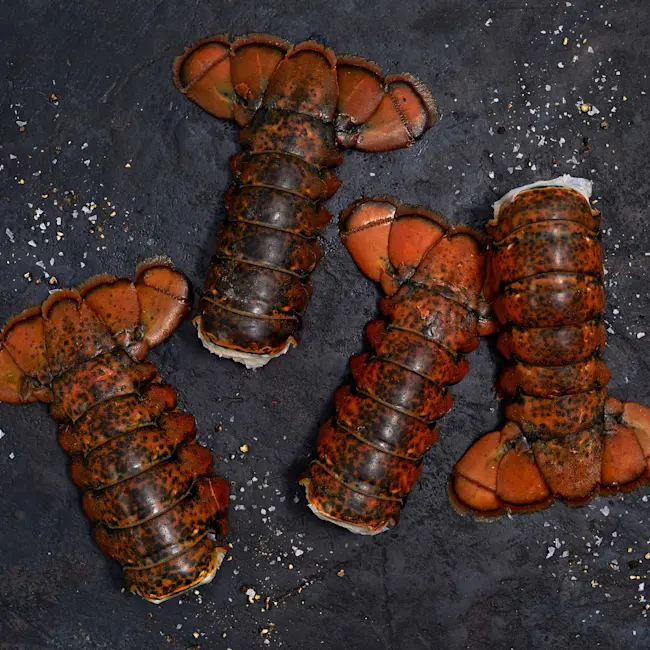 25322 North Atlantic Lobster Tails - 16oz