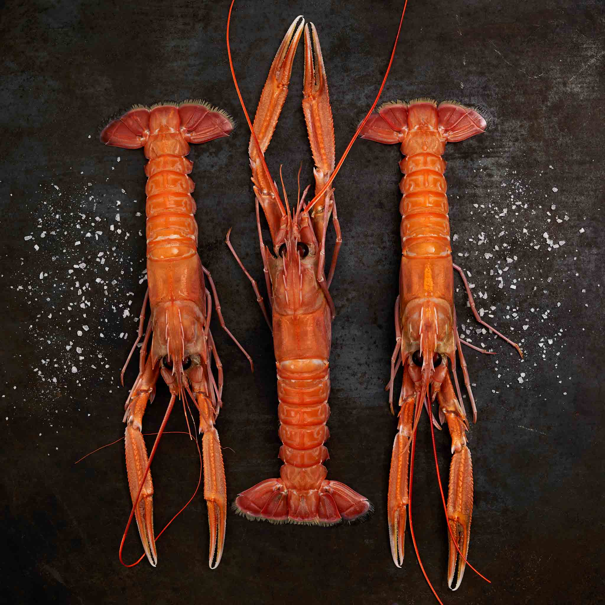 6134 WF Raw Langoustines - Norway Lobster Seafood