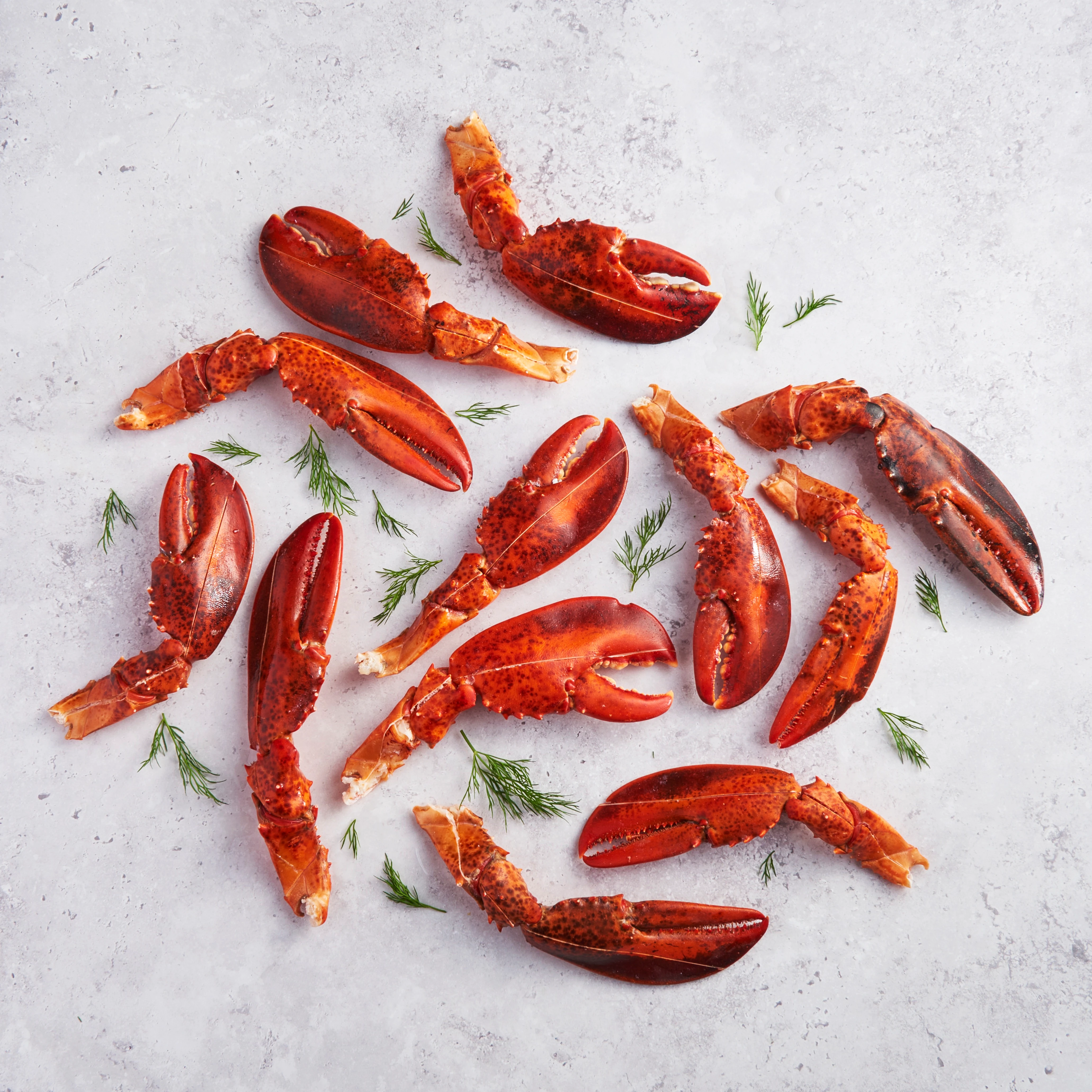 WFC 5306 Seafood LobsterClawsAndArms Scored RAW