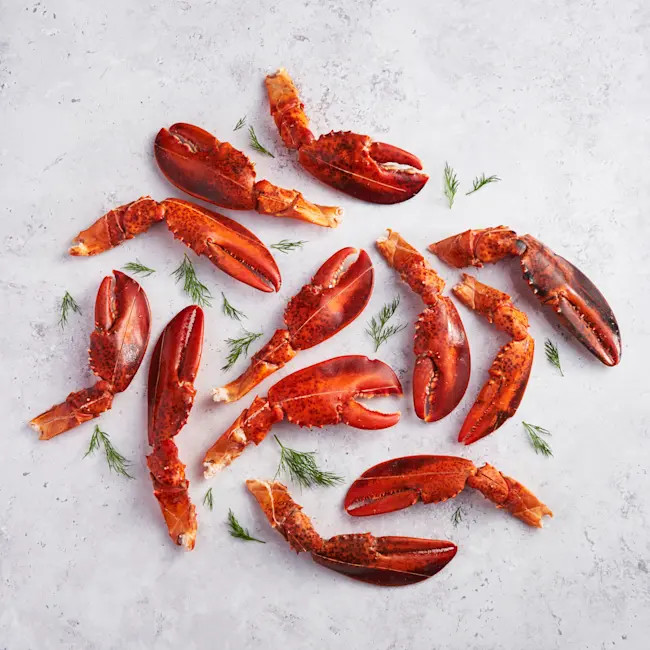 WFC 5306 Seafood LobsterClawsAndArms Scored RAW