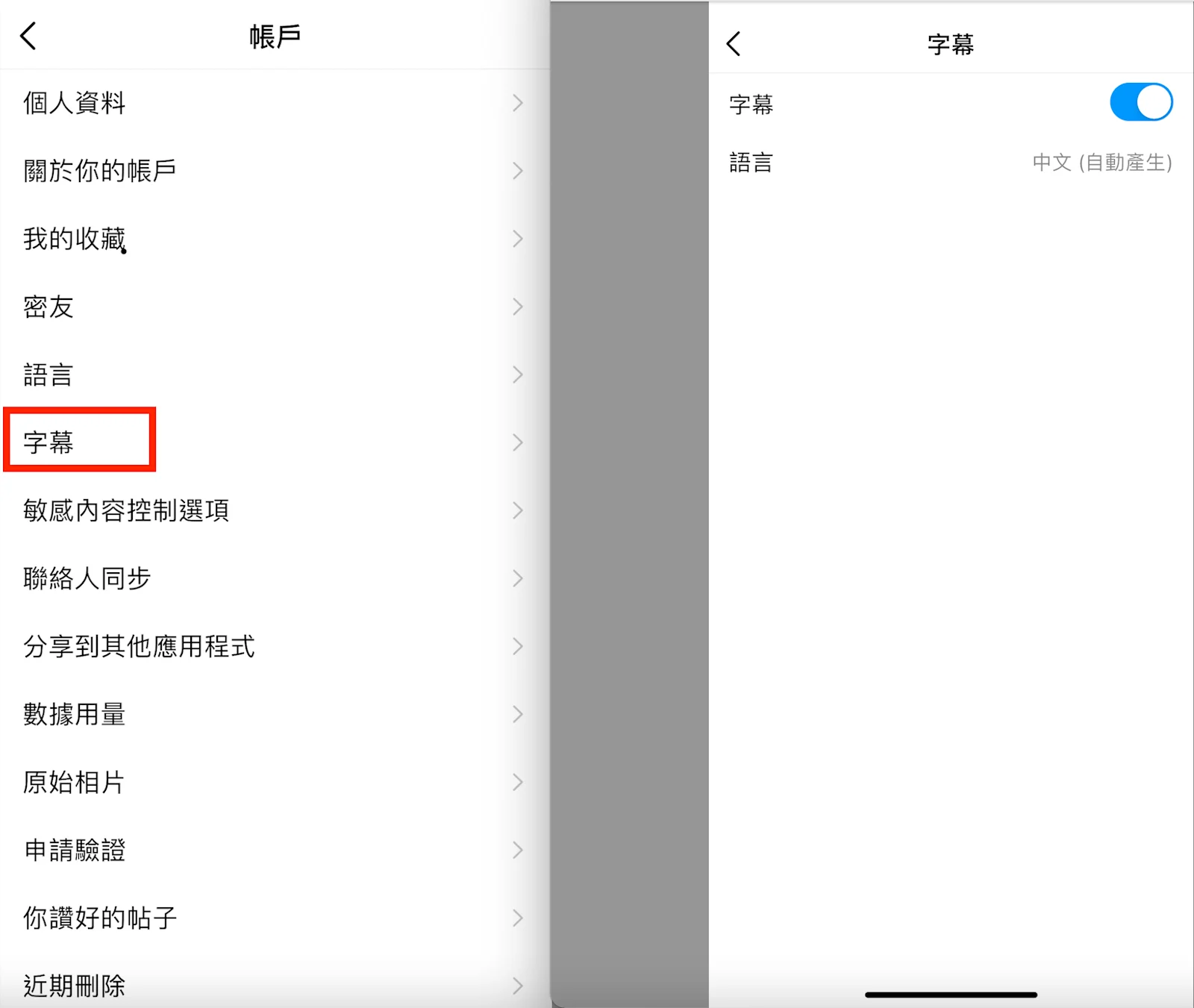 在ig shop中為IGTV 自動生成字幕