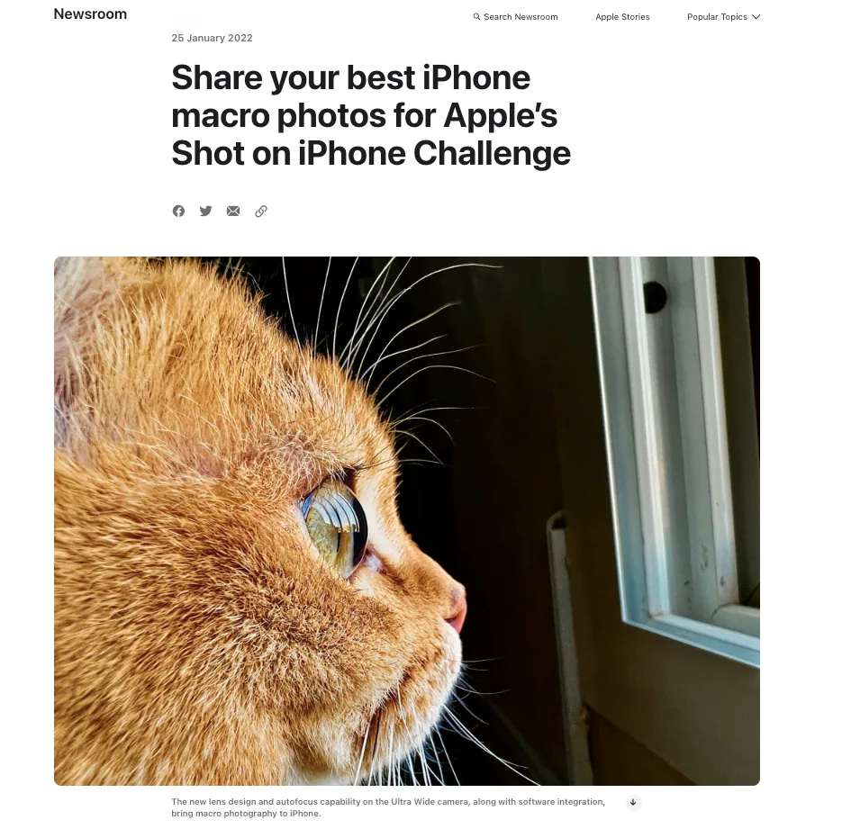 Apple Marketing Campaign Shot on iPhone