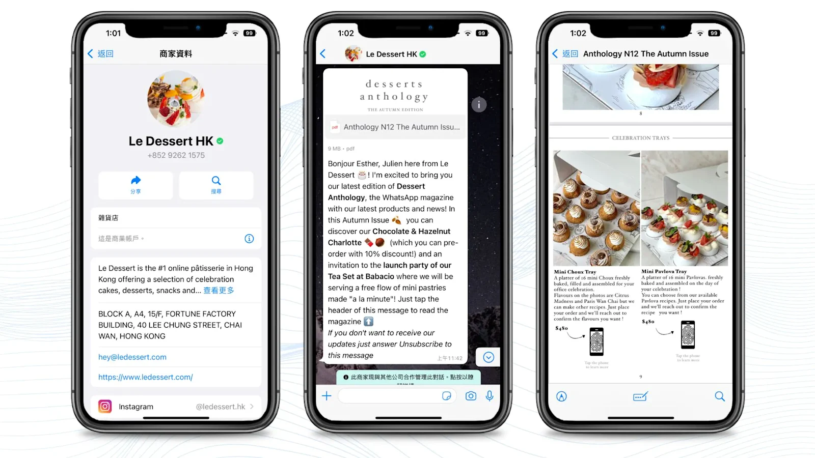 Ejemplos y casos de uso de una campaña de newsletter WhatsApp Business