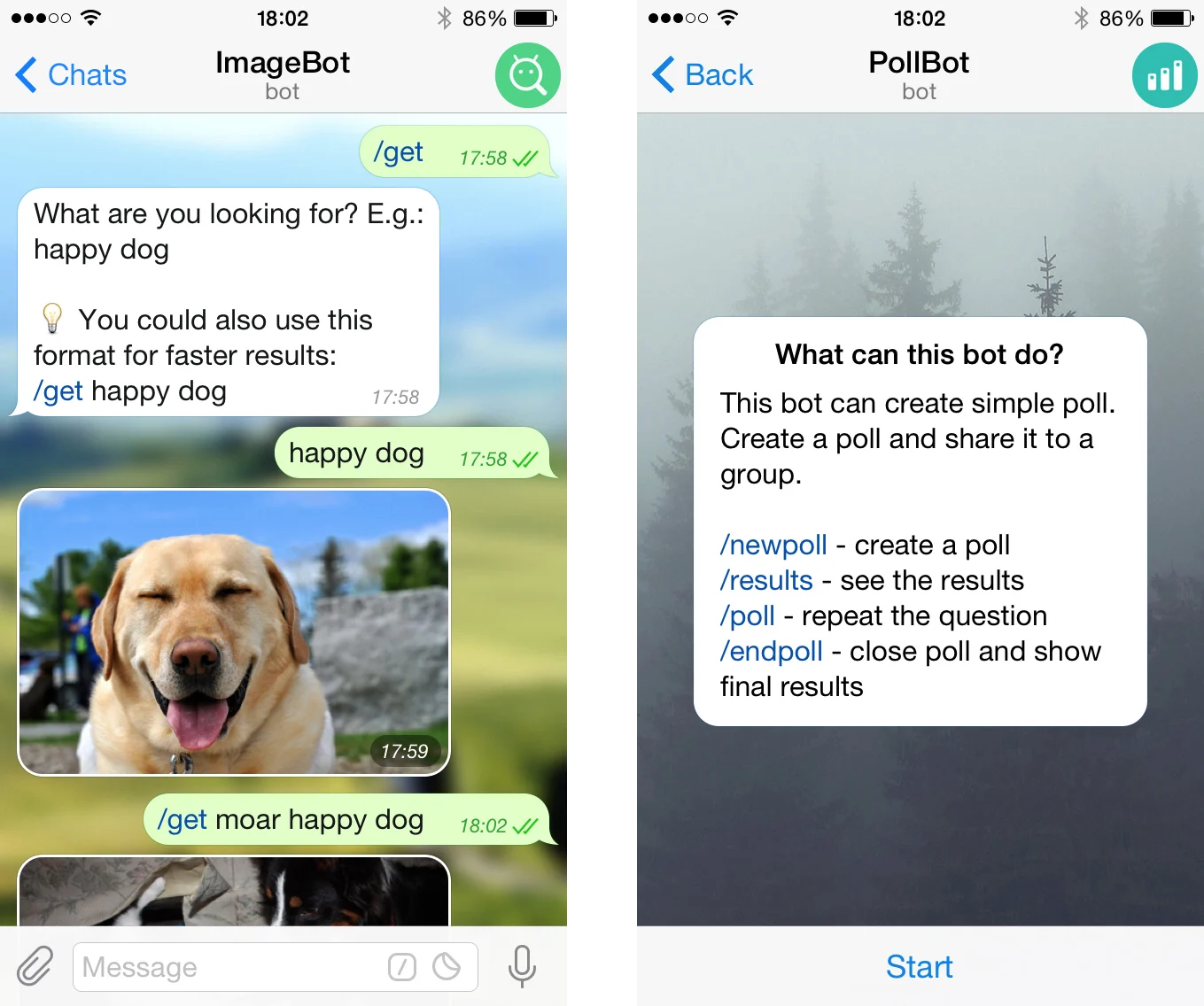 Telegram-Bots für verschiedene Geschäftszwecke nutzen