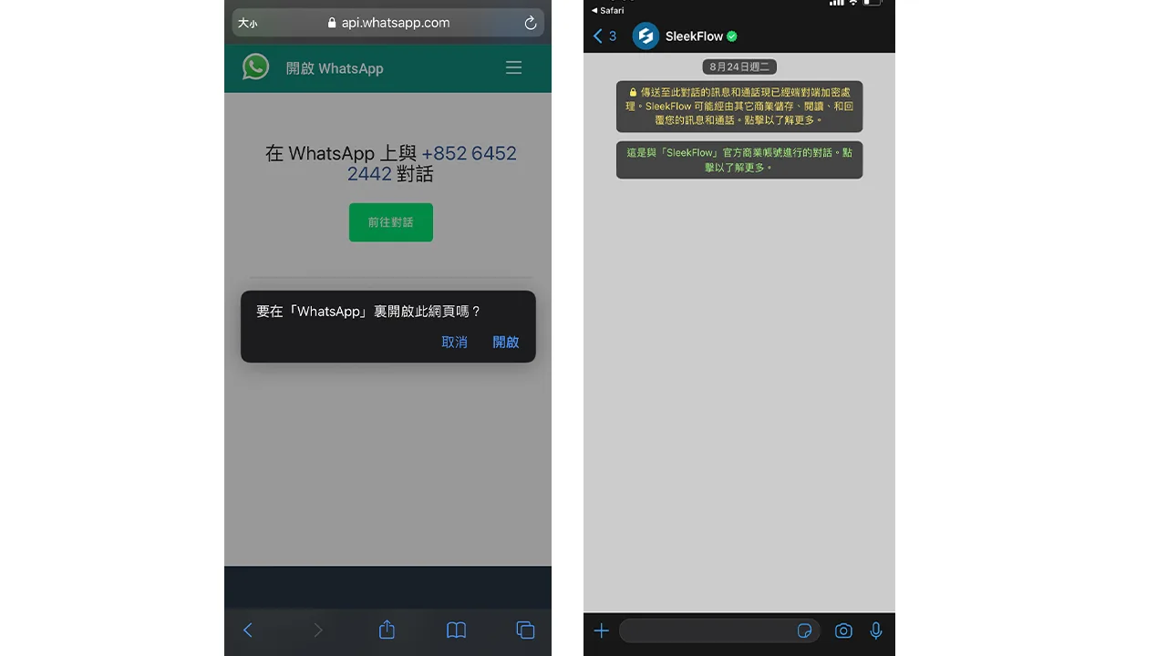 Open WhatsApp from Website