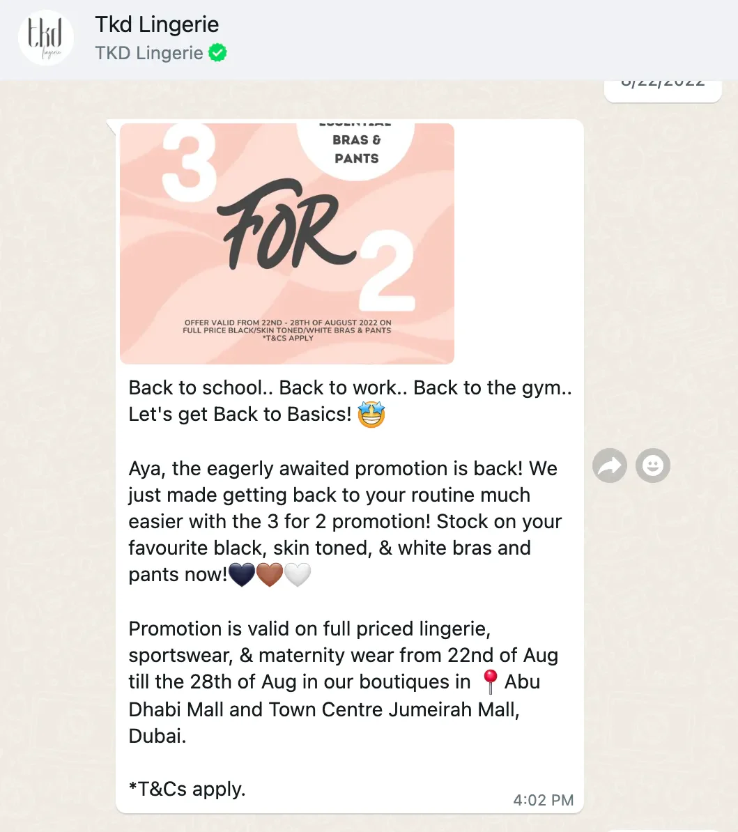 Estratégia de newsletter para WhatsApp Business- como a TKD Lingerie obteve um retorno positivo que superou 40 vezes seus gastos com publicidade