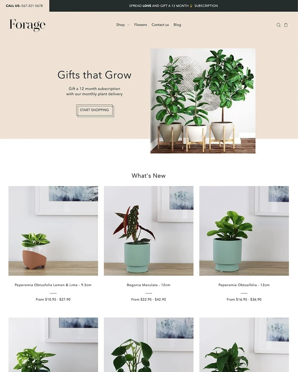 shopify theme foodie